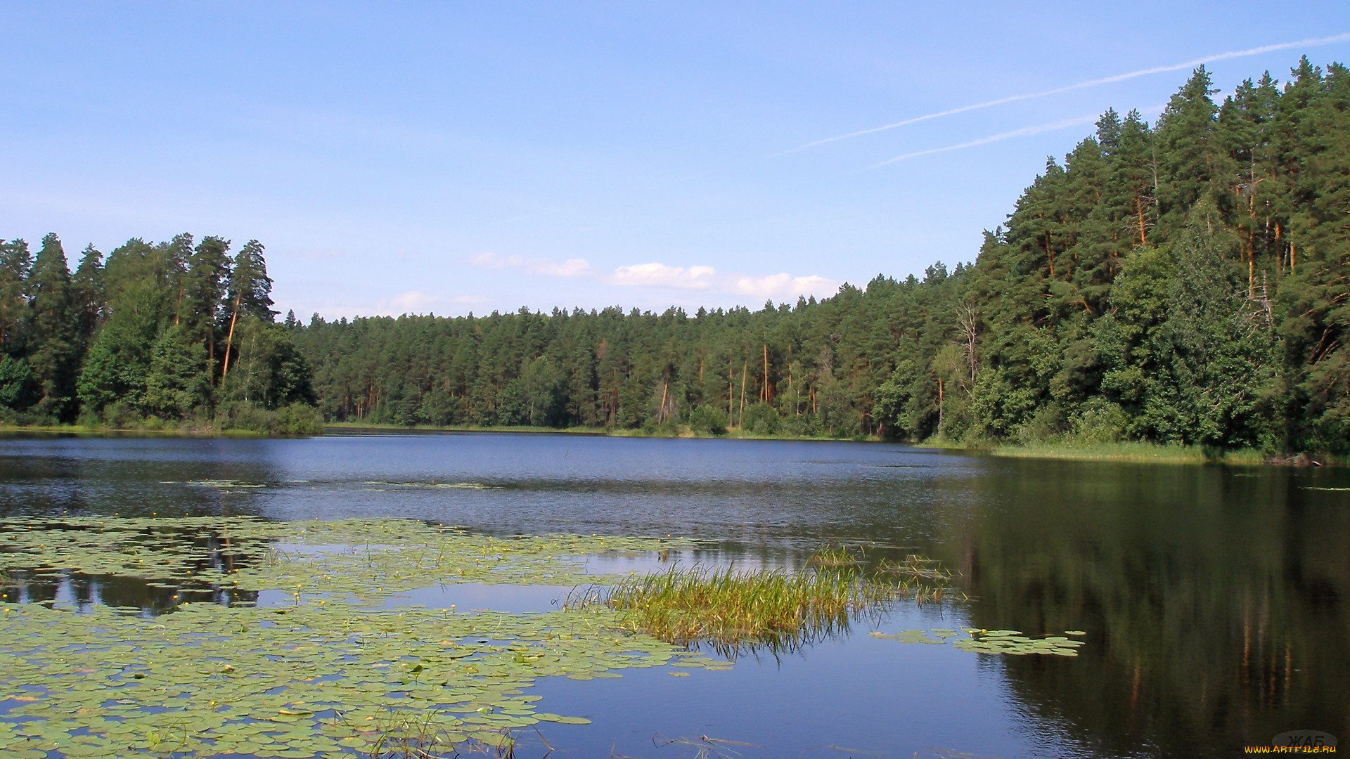 Вода Чарские лес